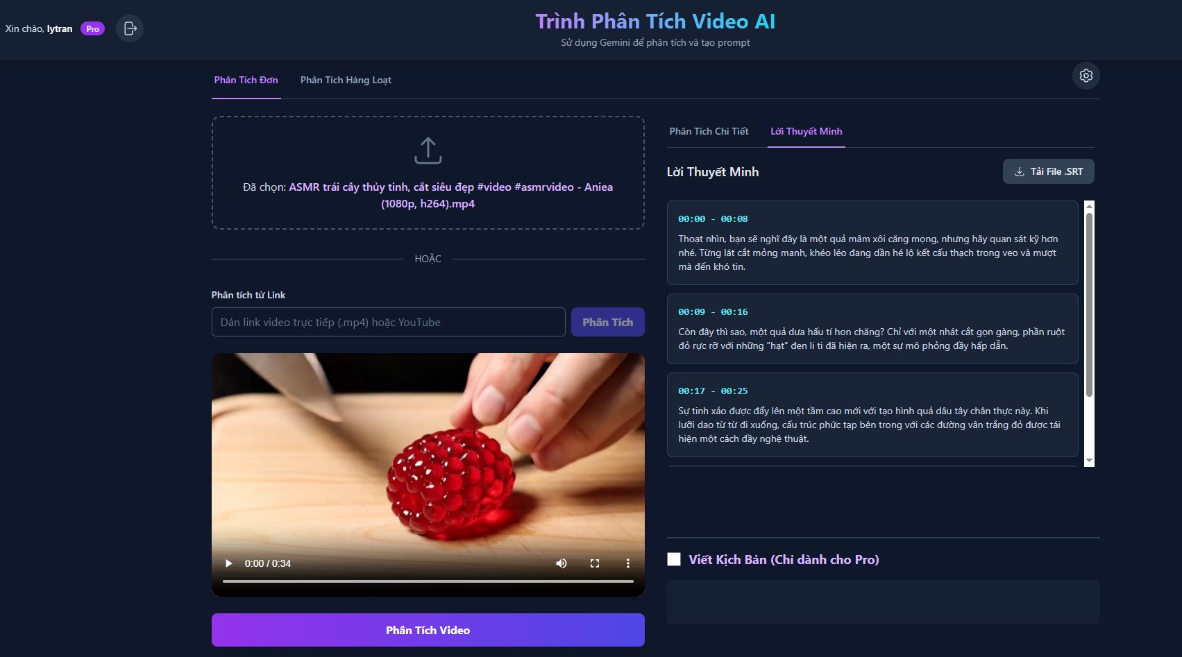 Giao diện phần mềm